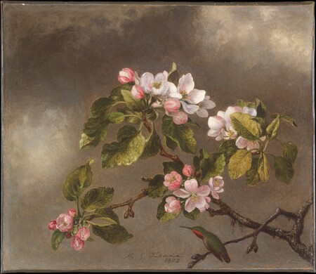 Affiche encadrée de qualité ou toile fine art made in France. Colibri et fleurs de pommier...
