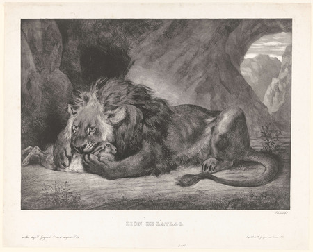 Toile imprimée en France de qualité fine art ou affiche encadrée. Lion déjoue le lapin dans une grotte...