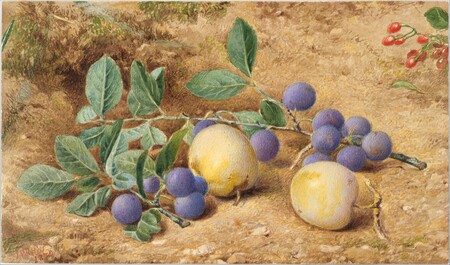 Reproduction fine art française sur toile ou poster encadré. Prunes...