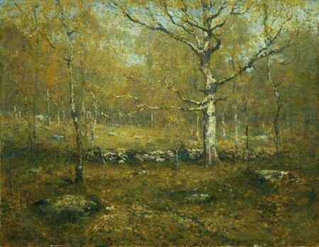 Toile made in France imprimée fine art ou affiche encadrée. Bois de printemps...