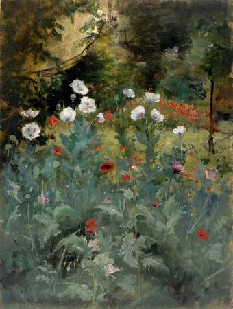 Impression fine art made in France haut de gamme sur toile ou poster encadré. Coquelicots...
