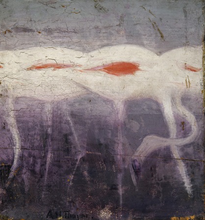 Poster haut de gamme fine art en France ou toile premium. White Flamingoes, étude pour le livre Concealing Coloration in the Animal Kingdom...