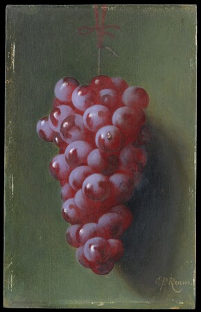 Poster encadré made in France de qualité ou toile d’art imprimée. Nature morte aux raisins...
