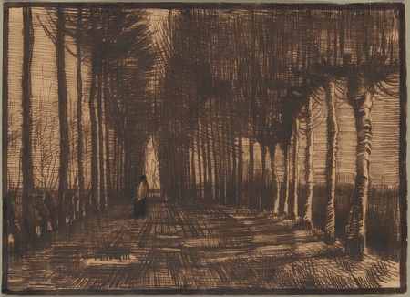 Impression fine art sur toile premium en France ou poster encadré. Allée des bouleaux et des peupliers Pollard...