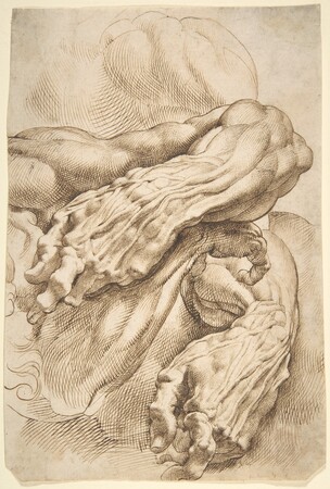Poster premium haut de gamme fabriqué en France ou toile fine art. Études anatomiques : un avant-bras gauche dans deux positions et un avant-bras droit...