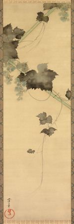 Poster premium fine art fabriqué en France ou toile d’art haut de gamme. Vignes...