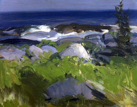Toile fine art premium made in France ou affiche encadrée. Rivage recouvert de vigne - île de Monhegan...