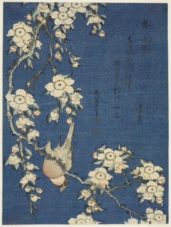 Poster premium haut de gamme en France ou toile fine art imprimée. Bouvreuil et cerisier pleureur (Uso, shidarezakura), d'une série sans titre de fleurs et d'oiseaux...