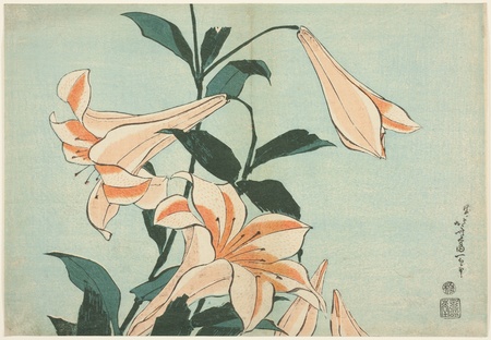 Toile premium fine art fabriquée en France ou affiche encadrée. Lys, d'une série sans titre de grandes fleurs...