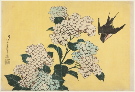 Impression fine art made in France premium sur toile ou poster encadré. Hortensia et Swallow, d'une série sans titre de grandes fleurs...