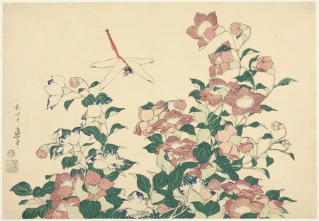 Affiche encadrée haut de gamme fine art fabriquée en France ou toile d’art. Bell-Flower et Dragonfly, d'une série sans titre de grandes fleurs...