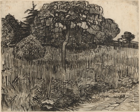 Impression française sur toile fine art ou poster encadré. Arbre pleureur...