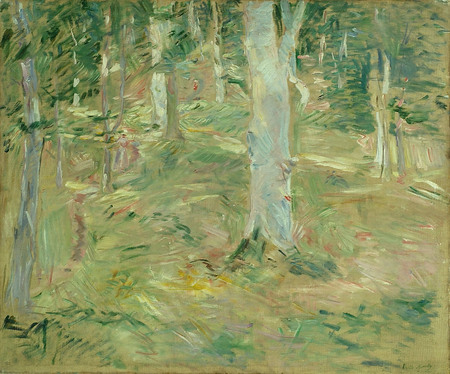 Tirage fine art fabriqué en France sur toile ou poster encadré. Forêt de Compiègne...