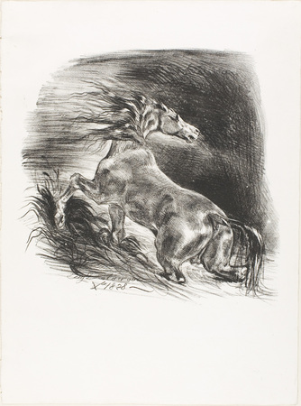 Impression de qualité fine art made in France sur toile ou poster encadré. Cheval sauvage ou cheval effrayé quittant l'eau...
