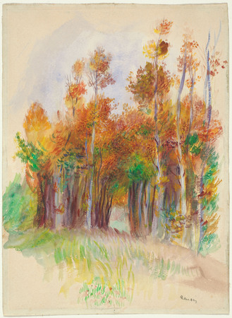 Toile d’art haut de gamme made in France imprimée ou affiche encadrée. Bosquet d'arbres...