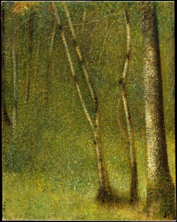 Poster fine art made in France ou toile imprimée de qualité. La forêt de Pontaubert...