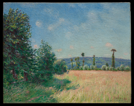 Toile made in France fine art ou affiche encadrée d’art. Sahurs Meadows au soleil du matin...