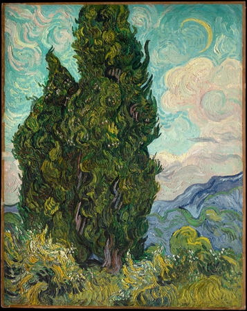 Toile fine art imprimée qualité française ou affiche encadrée. Les Cyprès...