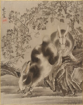 Impression haut de gamme d’art sur toile en France ou poster encadré. Lapins...