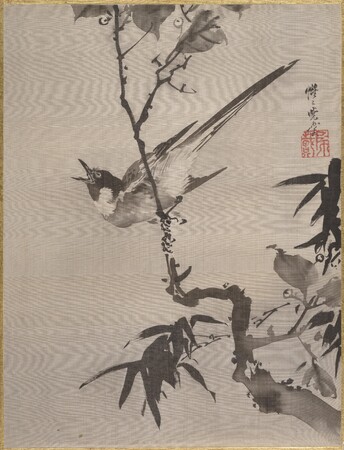 Poster haut de gamme fabriqué en France fine art ou toile premium. Oiseau chantant sur une branche...