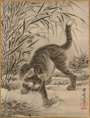 Toile d’art premium made in France imprimée ou affiche encadrée. Chat attrapant une grenouille...