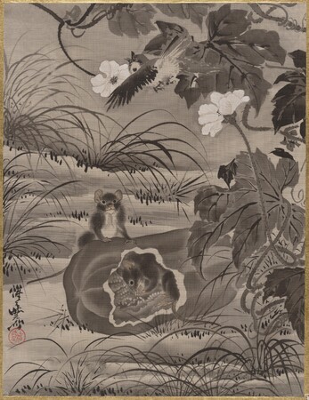Impression fine art haut de gamme en France sur toile ou poster encadré. Rats et courge...
