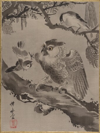 Impression fine art de qualité haut de gamme sur toile made in France ou poster encadré. Hibou moqué par les petits oiseaux...