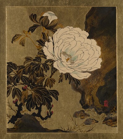 Impression fine art sur toile ou poster encadré fabriqué en France. Peintures à la laque de divers sujets : Pivoines...
