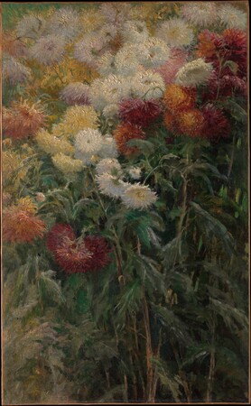 Impression premium sur toile ou poster encadré made in France. Chrysanthèmes au jardin du Petit-Gennevilliers...