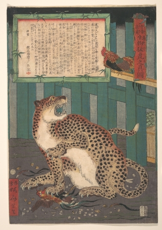 Toile d’art fabriquée en France ou affiche encadrée. Jamais vu auparavant : véritable image d'un tigre sauvage vivant (Konjaku miken, Ikimono mōko no shinzu)...