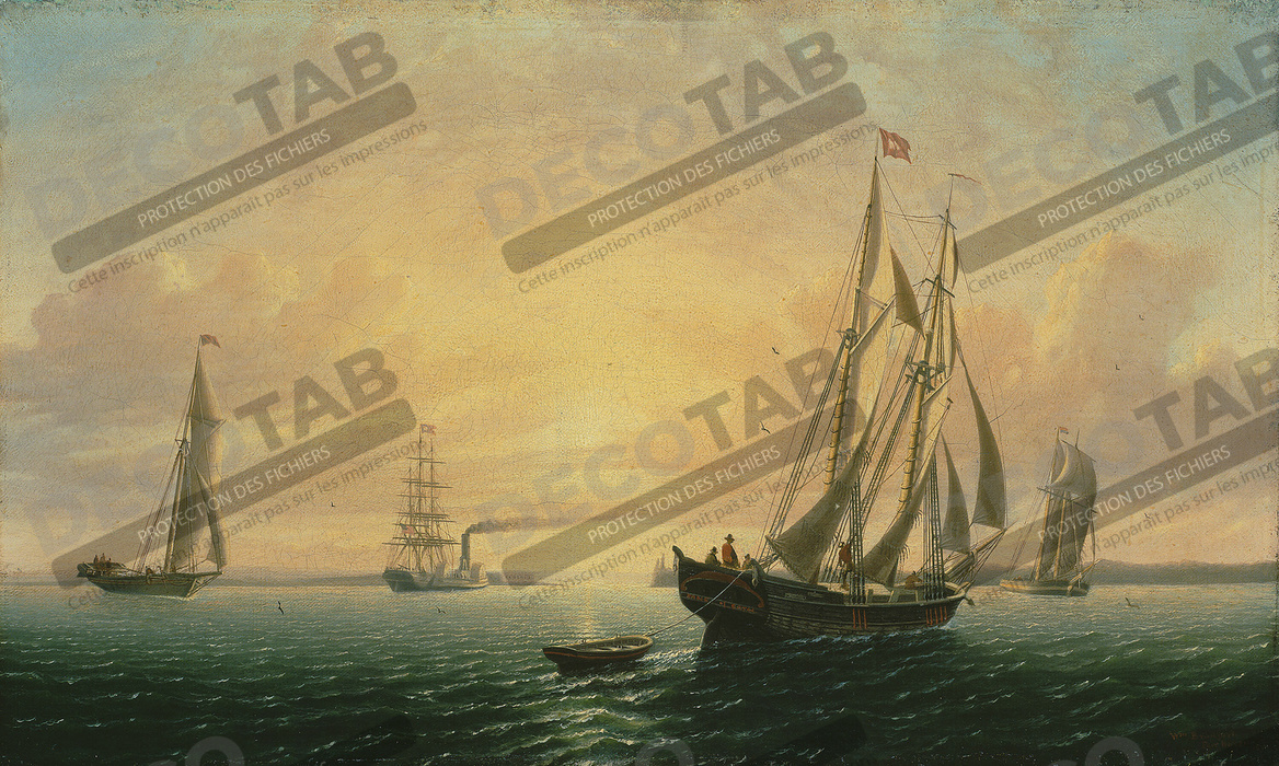 Reproduction La goélette Jane de Bath, Maine de William Bradford
