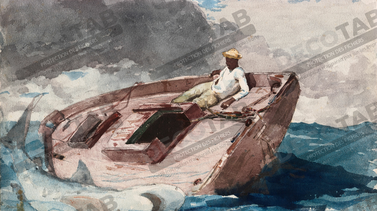 Reproduction Le Gulf Stream de Winslow Homer