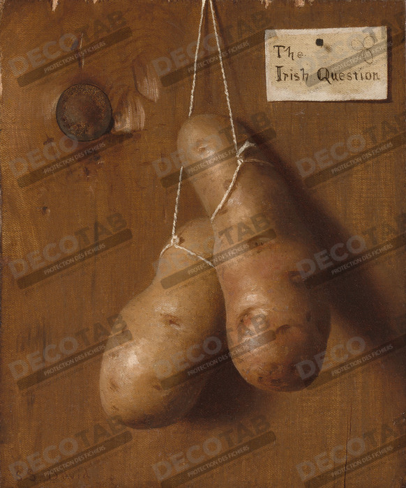 Reproduction La question irlandaise de De Scott Evans