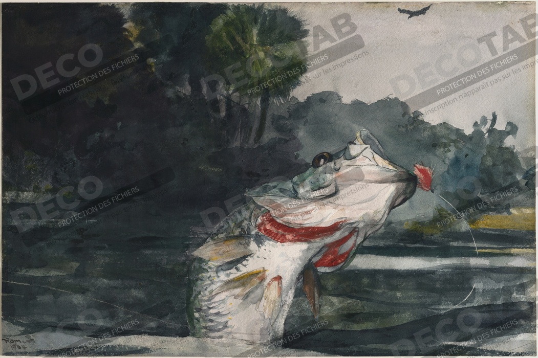 Reproduction Black Bass grandeur nature de Winslow Homer
