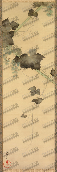 Reproduction Vignes de Sakai Oho