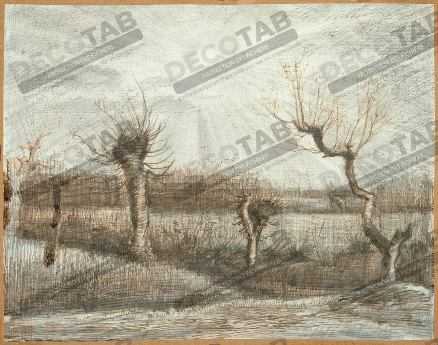 Reproduction Tétards (têtards) de Vincent van Gogh