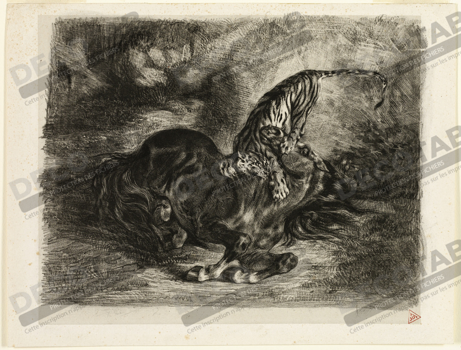 Reproduction Cheval sauvage abattu par un tigre de Eugène Delacroix