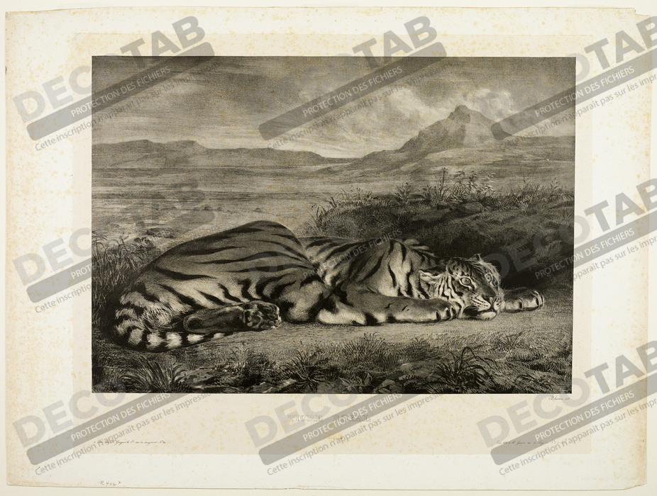 Reproduction Tigre du Bengale de Eugène Delacroix