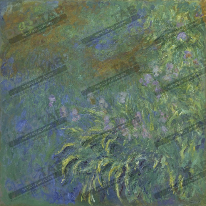 Reproduction Iris de Claude Monet