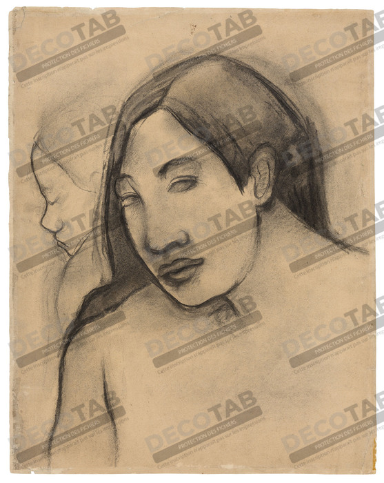 Reproduction Têtes de femmes tahitiennes, vues de face et de profil de Paul Gauguin