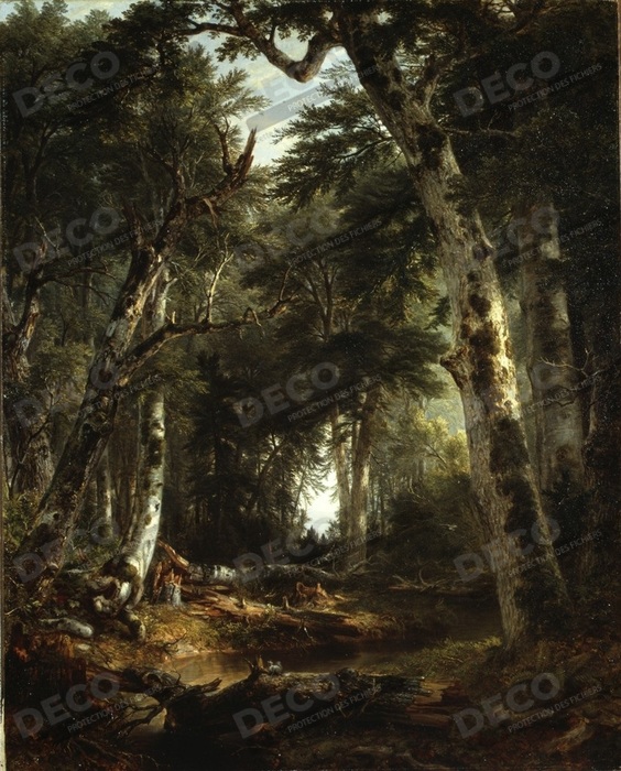 Reproduction Dans les bois de Asher Brown Durand