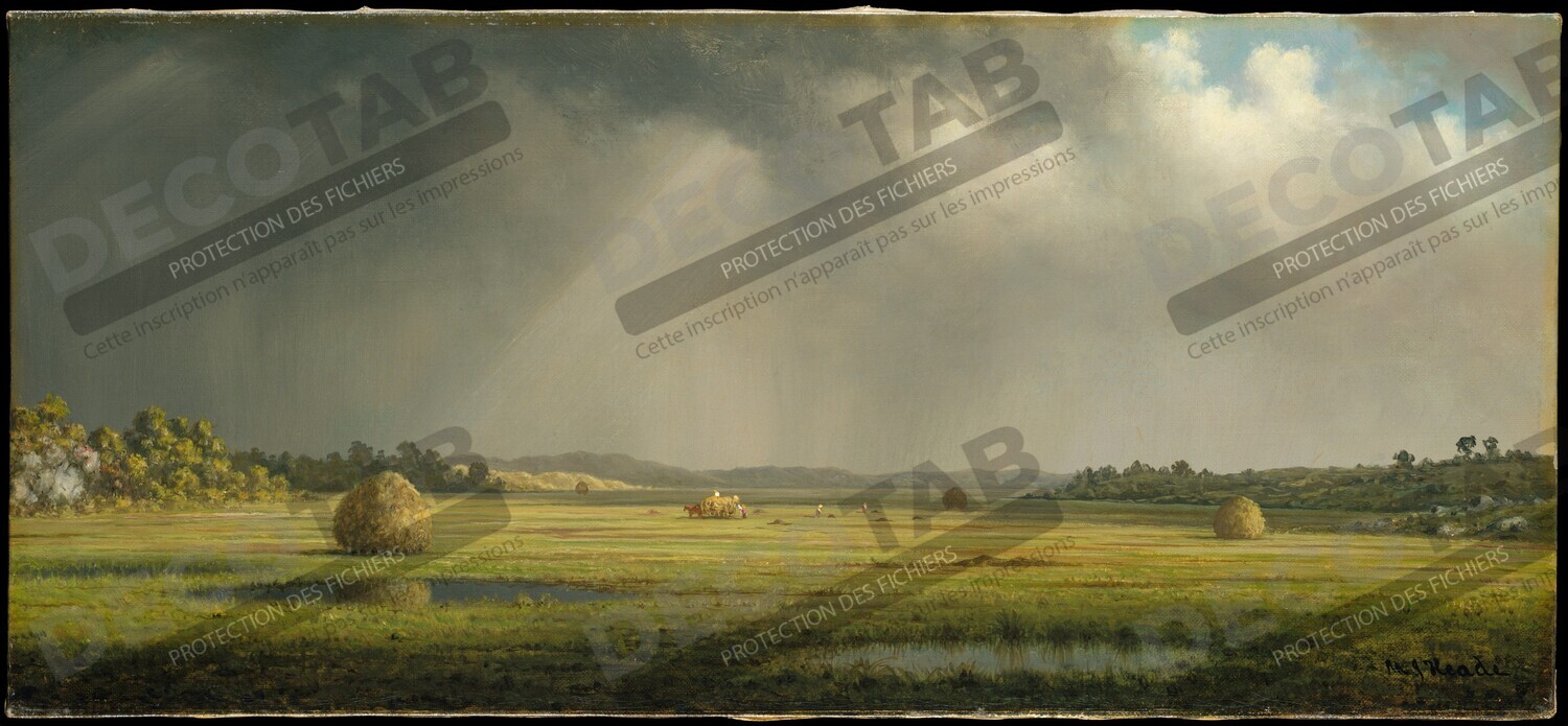 Reproduction Prairies de Newburyport de Martin Johnson Heade