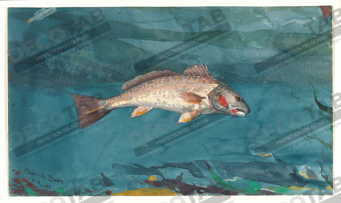 Reproduction Basse de canal de Winslow Homer