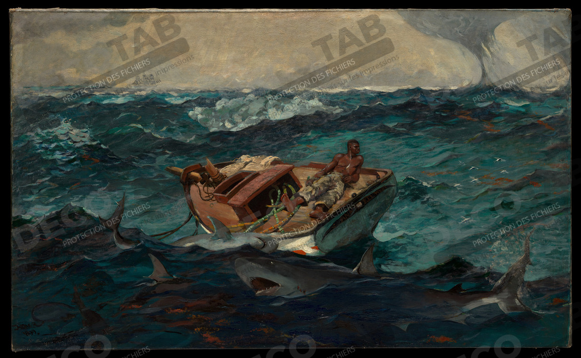 Reproduction Le Gulf Stream de Winslow Homer