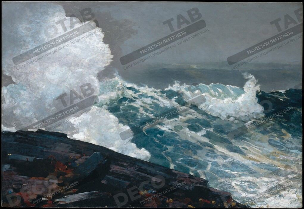 Reproduction Nord-Est de Winslow Homer