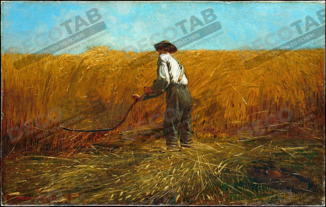 Reproduction Le vétéran dans un nouveau domaine de Winslow Homer