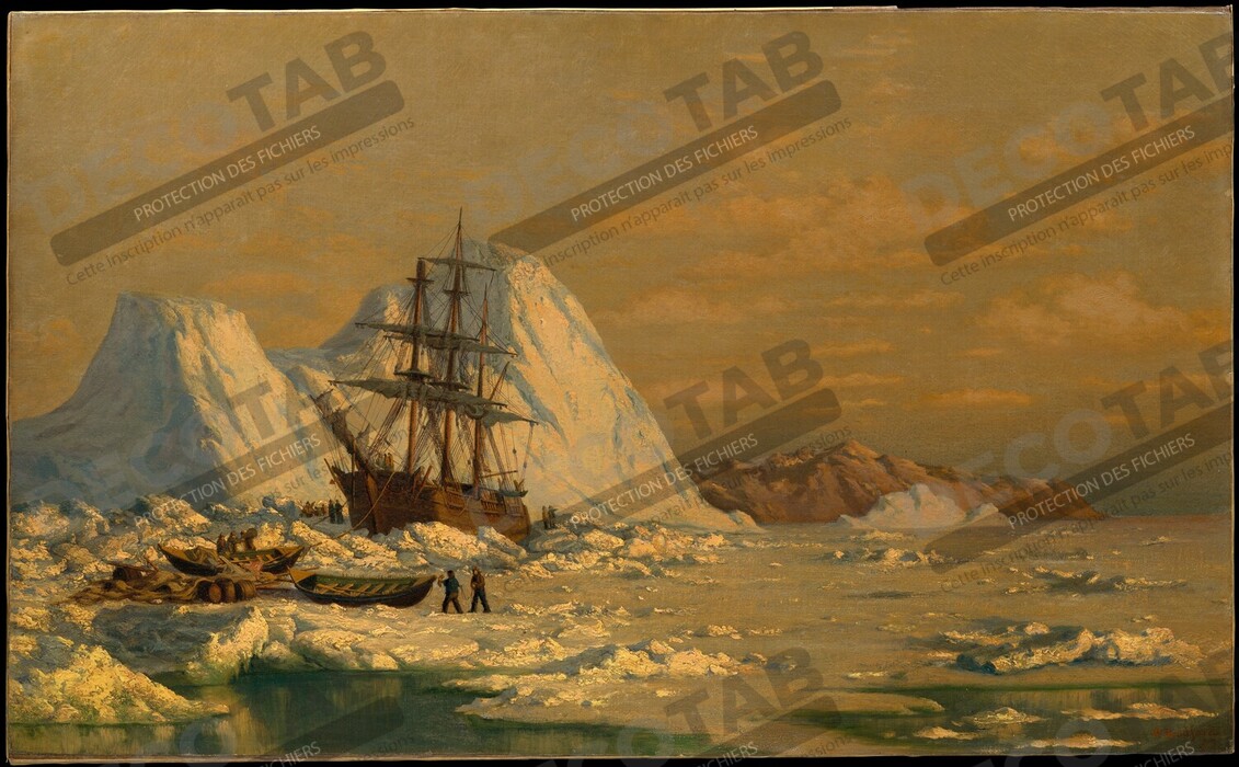 Reproduction Un incident de chasse à la baleine de William Bradford