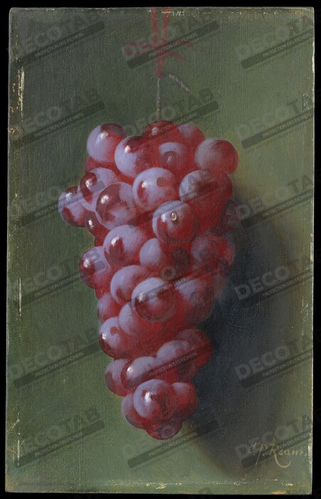 Reproduction Nature morte aux raisins de Carducius Plantagenet Ream
