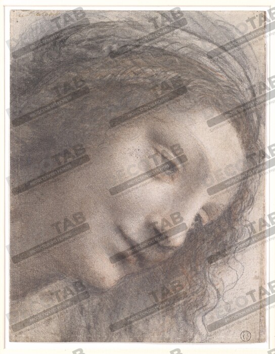 Reproduction La tête de la Vierge vue de trois quarts tournée vers la droite de Leonardo da Vinci