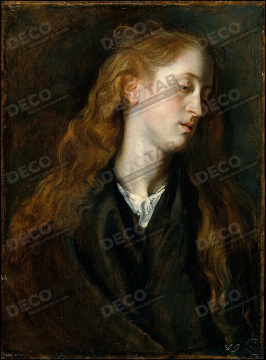 Reproduction Tête d'étude d'une jeune femme de Anthony van Dyck